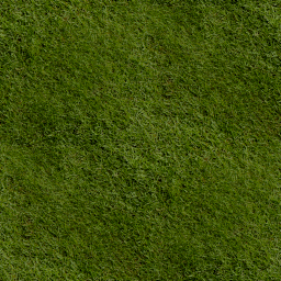 Short green grass